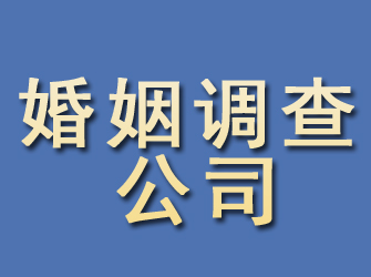 连山婚姻调查公司